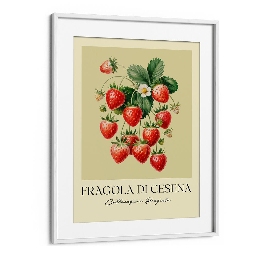 FRAGOLA DI CESENA , FLORAL FLOWER PAINTINGS