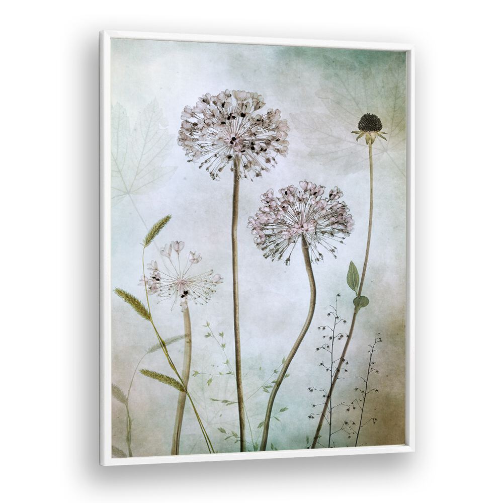Elegant ALLIUM, FLORAL FLOWER PAINTINGS showcasing delicate blooms, perfect for enhancing your home decor with style.
