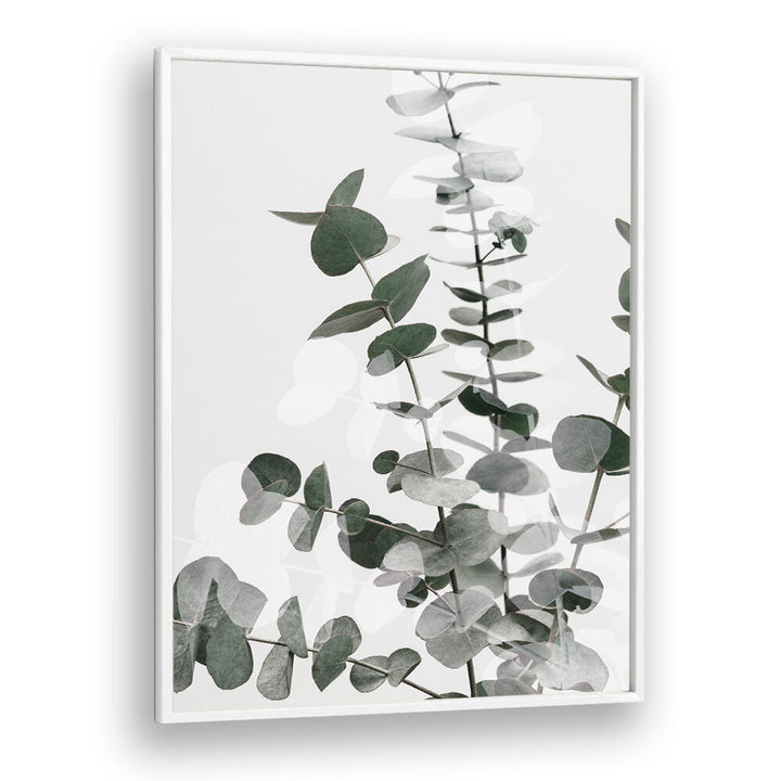 Stylish EUCALYPTUS CREATIVE VI, FLORAL FLOWER PAINTINGS enhance your space with vibrant colors and natural beauty.