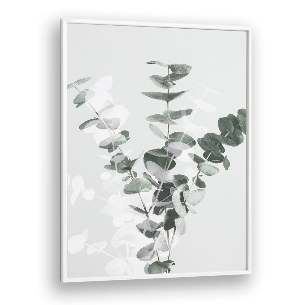 EUCALYPTUS CREATIVE VII, FLORAL FLOWER PAINTINGS feature elegant eucalyptus leaves, perfect for brightening your space.