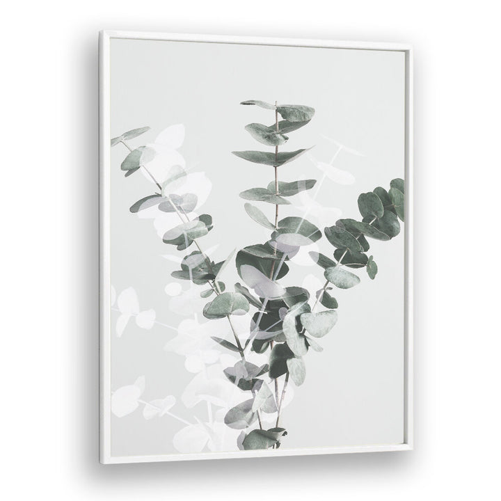 EUCALYPTUS CREATIVE VII, FLORAL FLOWER PAINTINGS feature elegant eucalyptus leaves, perfect for brightening your space.