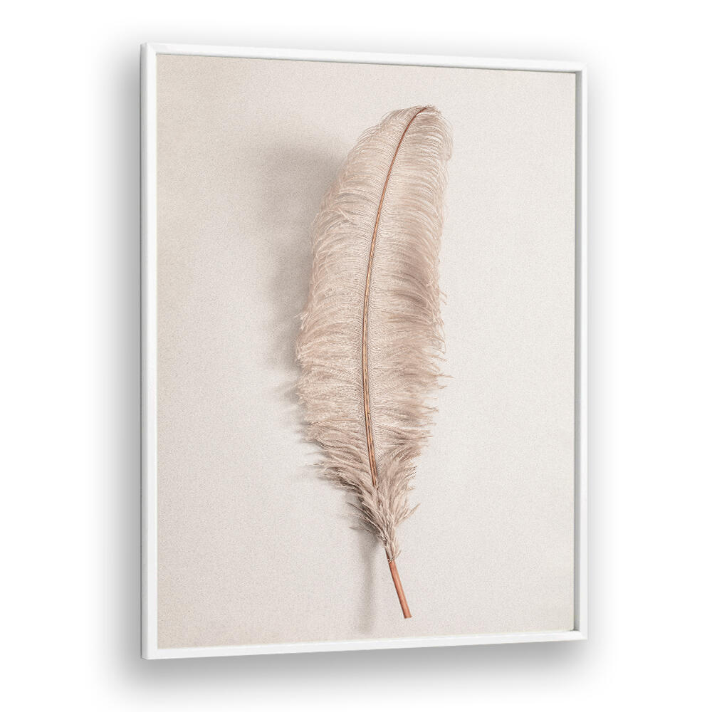 Elegant FEATHER II, BOHO ART PAINTINGS featuring a delicate feather design, perfect for modern bohemian decor.