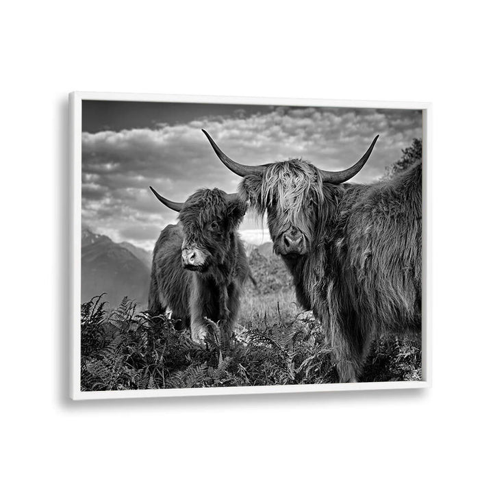 FRIENDS , PHOTOGRAPHY PRINTS