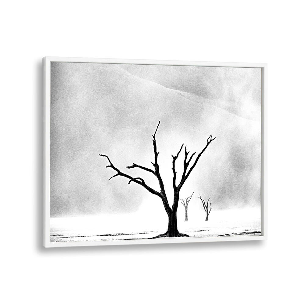 NAMIBIA - THE SPIRIT OF WILDERNESS I , PHOTOGRAPHY PRINTS