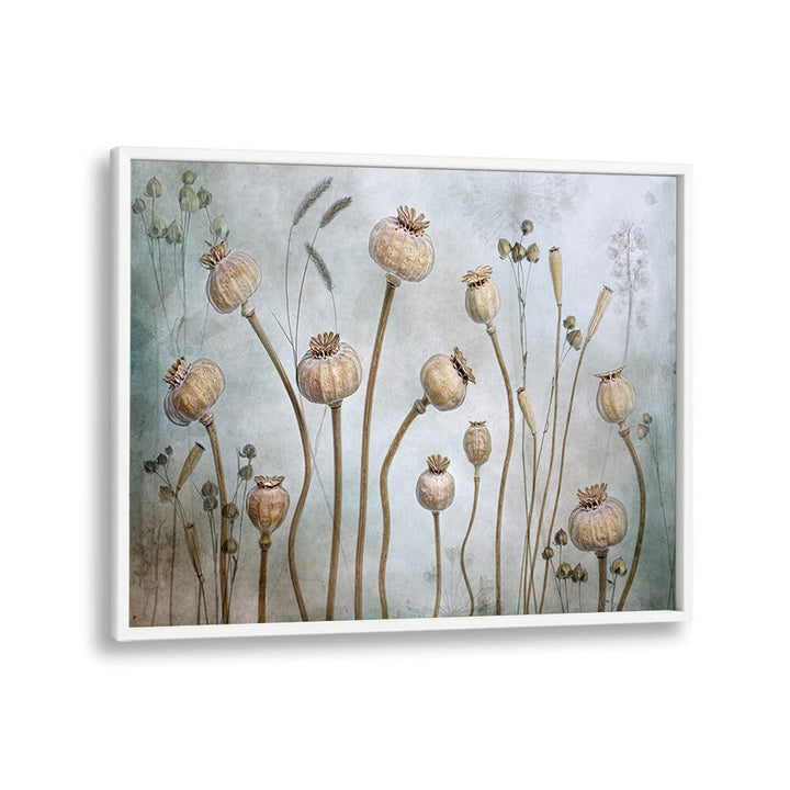Delicate PAPAVER, FLORAL FLOWER PAINTINGS showcasing elegant poppy blooms, perfect for enhancing home decor.