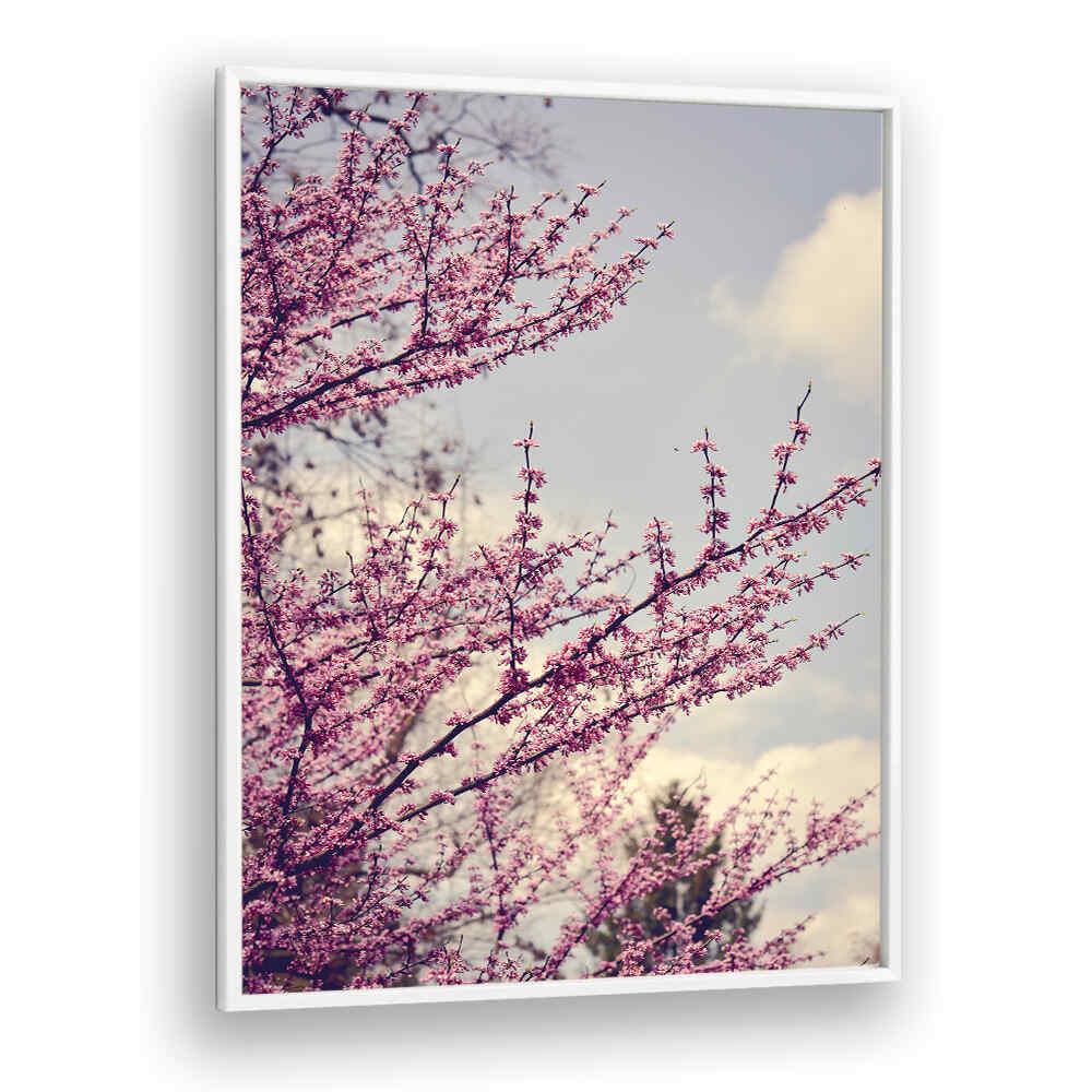 SPRING PHOTOGRAPH , FLORAL FLOWER PAINTINGS