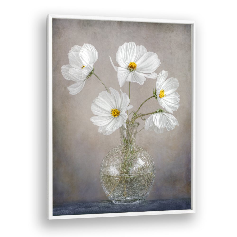 Elegant white flowers in a vase showcase the SIMPLY COSMOS, FLORAL FLOWER PAINTINGS, perfect for stylish decor.