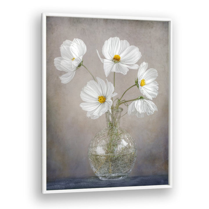 Elegant white flowers in a vase showcase the SIMPLY COSMOS, FLORAL FLOWER PAINTINGS, perfect for stylish decor.