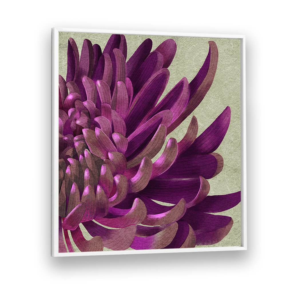 Captivating CHRYSANTHEMUM PURPLE, FLORAL FLOWER PAINTINGS, enhancing gardens and brightening homes with rich hues.