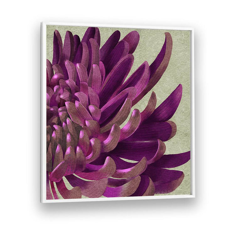 Captivating CHRYSANTHEMUM PURPLE, FLORAL FLOWER PAINTINGS, enhancing gardens and brightening homes with rich hues.