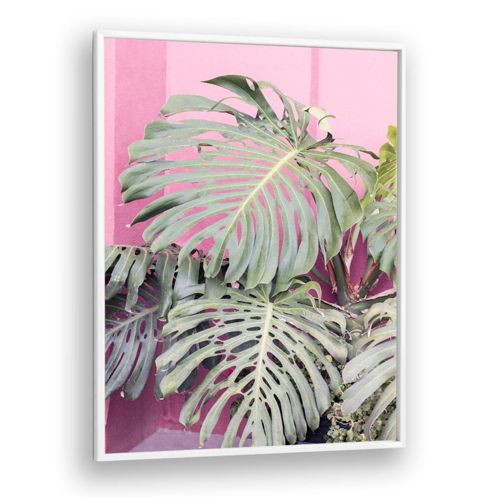 Stunning MONSTERA LEAF LA MURALLA, FLORAL FLOWER PAINTINGS, perfect for enhancing tropical home decor.