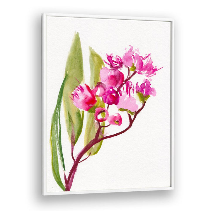 EUCALYPTUS , FLORAL FLOWER PAINTINGS