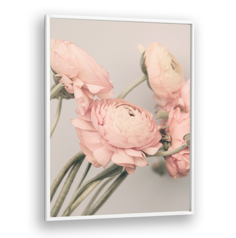 Soft pink roses in a stylish frame, perfect for your decor. Discover ROSE III, FLORAL FLOWER PAINTINGS today!