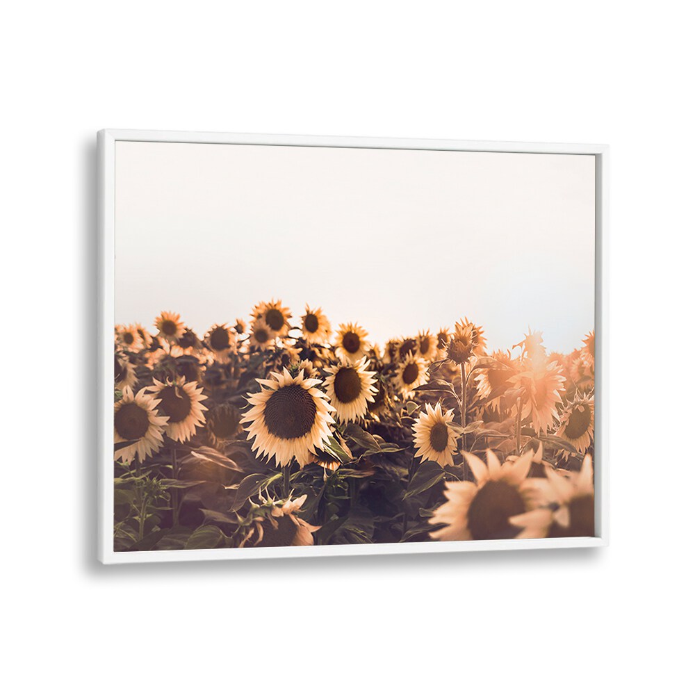 Vibrant SUNFLOWERS II, FLORAL FLOWER PAINTINGS bring warmth and positivity to any space in your home.