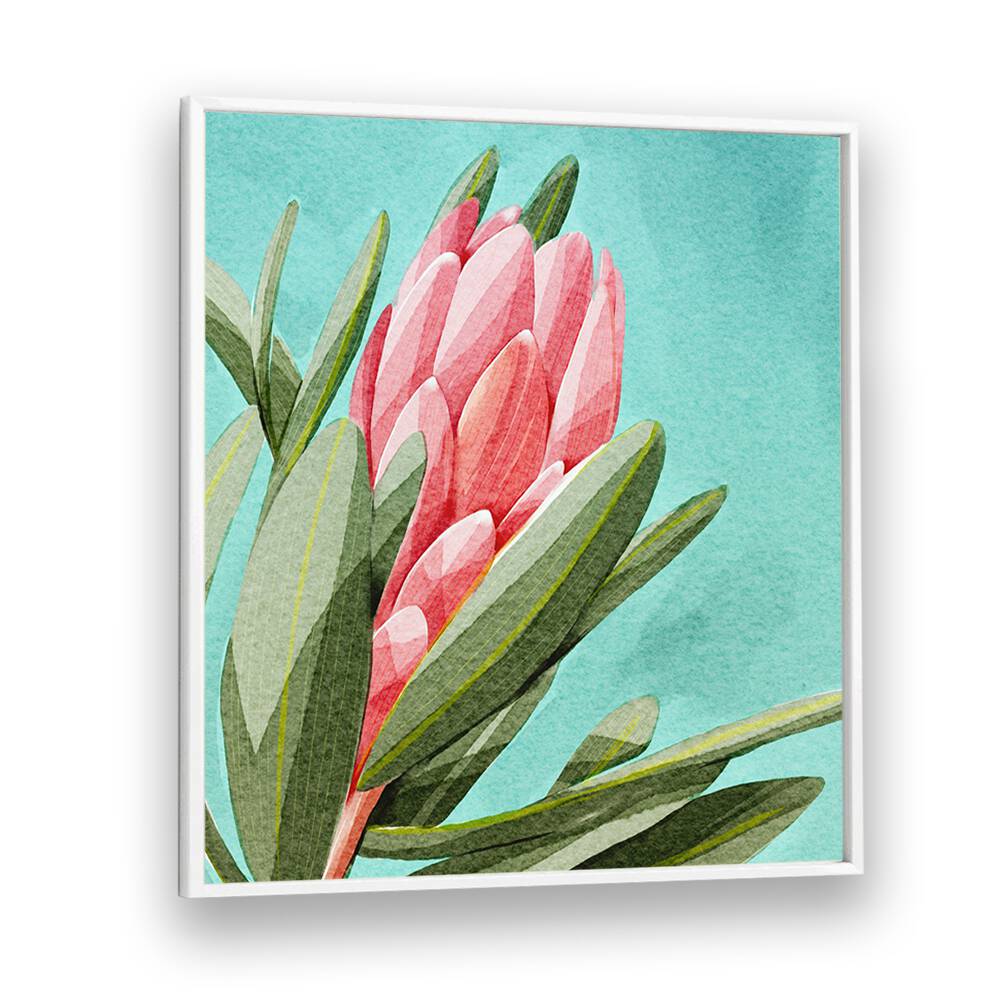 Elegant KING PROTEA in vibrant floral flower paintings, showcasing South Africa’s national flower with stunning detail.