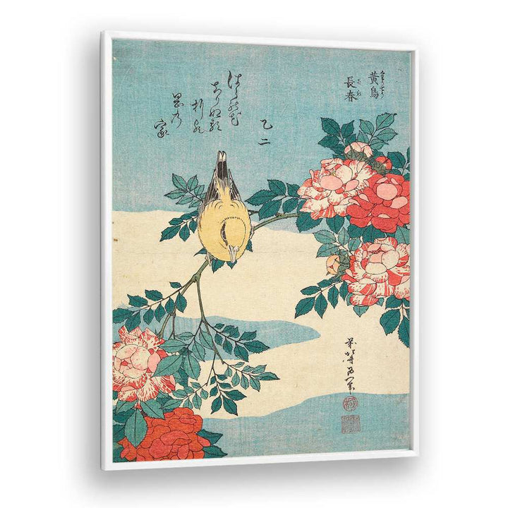 WARBLER AND ROSES , VINTAGE PAINTINGS