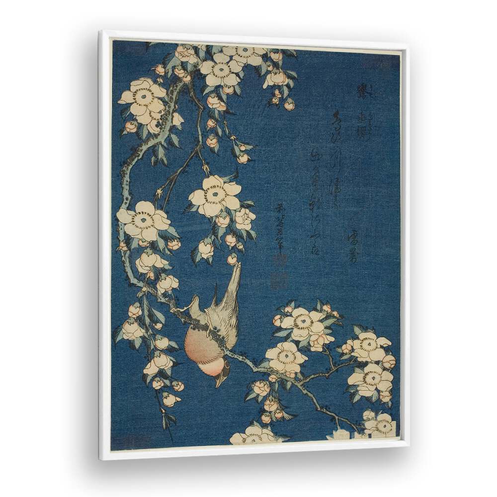 BULLFINCH AND WEEPING CHERRY BLOSSOMS , VINTAGE PAINTINGS