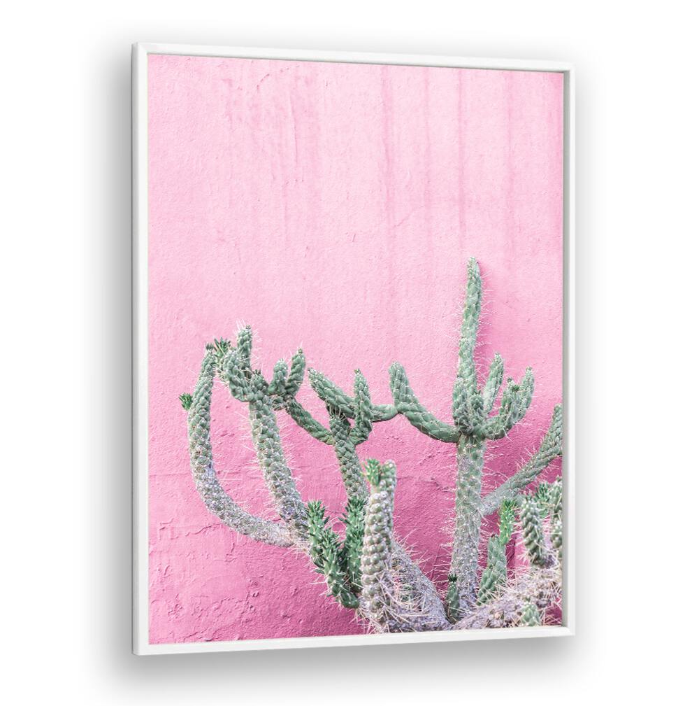 Vibrant CACTUS ON PINK, FLORAL FLOWER PAINTINGS add a pop of color to any space with stunning contrast.