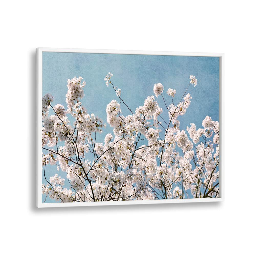 Stunning BLUE SKY BLOSSOMS, FLORAL FLOWER PAINTINGS showcasing blooming flowers against a serene blue sky backdrop.