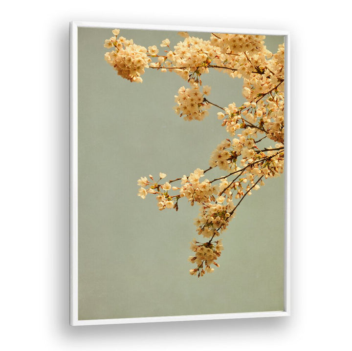 Delicate blossoms against a soft backdrop in SPRING MORNING, FLORAL FLOWER PAINTINGS, capturing nature's beauty.