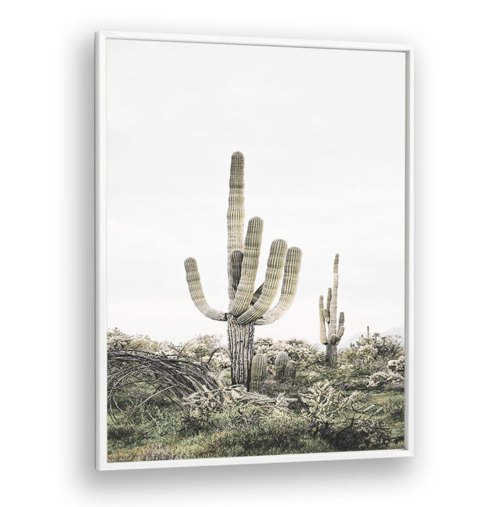 Vibrant PINK SAGUARO, COWBOY painting, a stylish decor piece adding a pop of color to any modern space.