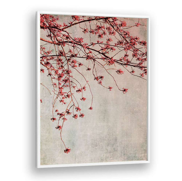 Elegant branches adorned with blooming flowers in BRANCHES, FLORAL FLOWER PAINTINGS, perfect for enhancing any space.