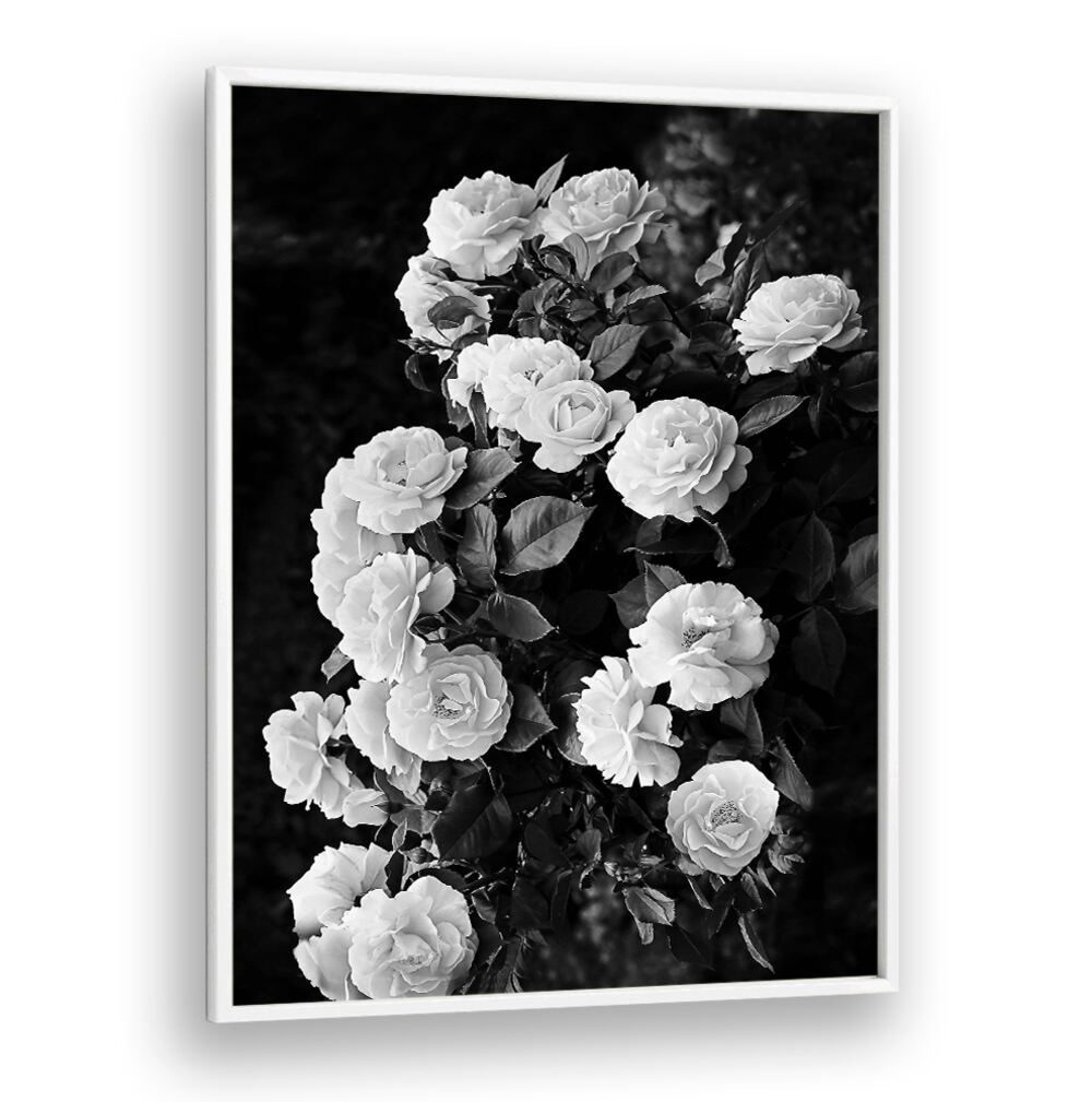 Elegant ROSE BUSH, FLORAL FLOWER PAINTINGS showcasing stunning blooms, perfect for transforming your garden into paradise.