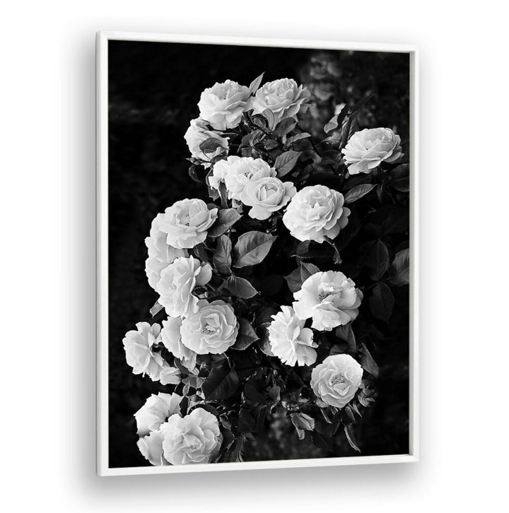 Elegant ROSE BUSH, FLORAL FLOWER PAINTINGS showcasing stunning blooms, perfect for transforming your garden into paradise.