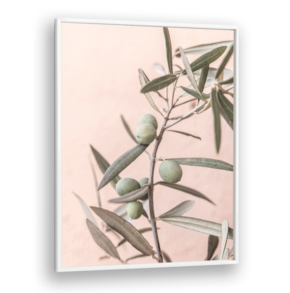 Delicate OLIVES and FLORAL FLOWER PAINTINGS create a serene ambiance, perfect for any home decor.