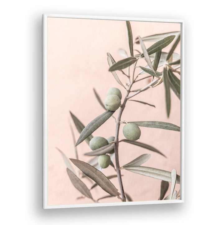 Delicate OLIVES and FLORAL FLOWER PAINTINGS create a serene ambiance, perfect for any home decor.