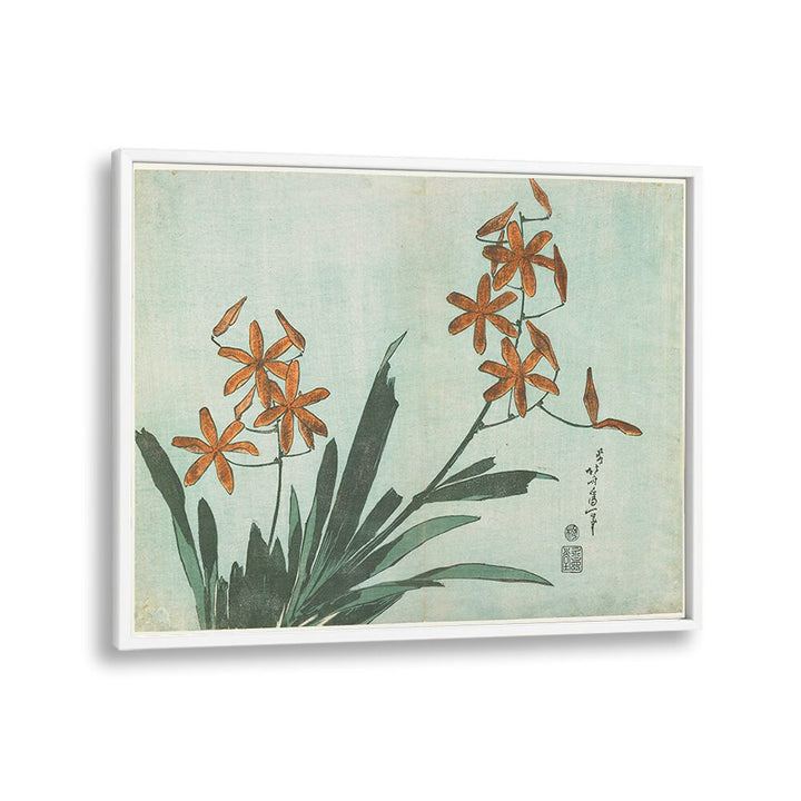 BLACKBERRY LILY , VINTAGE PAINTINGS