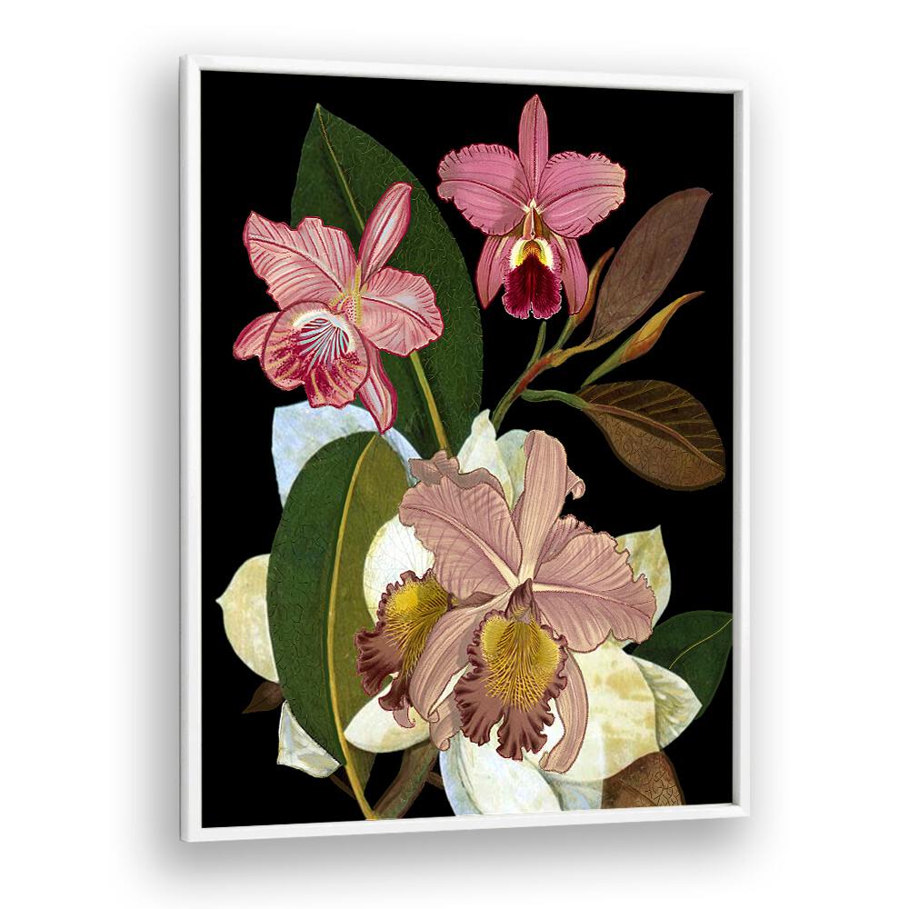 Elegant ORCHIDS II, FLORAL FLOWER PAINTINGS showcasing vibrant orchids for a tranquil home decor accent.
