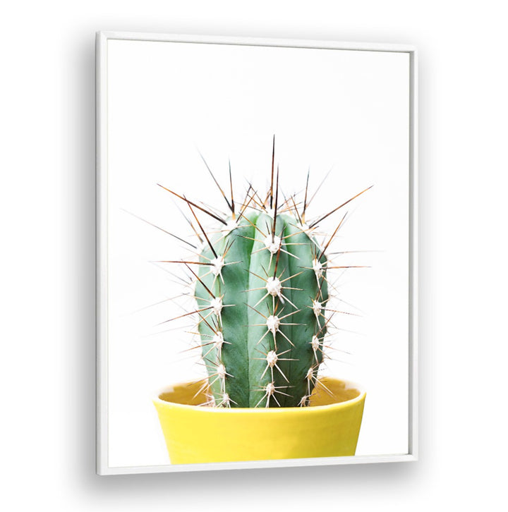 Vibrant SPIKEY CACTUS in a cheerful yellow pot, a perfect addition to your floral flower paintings collection.