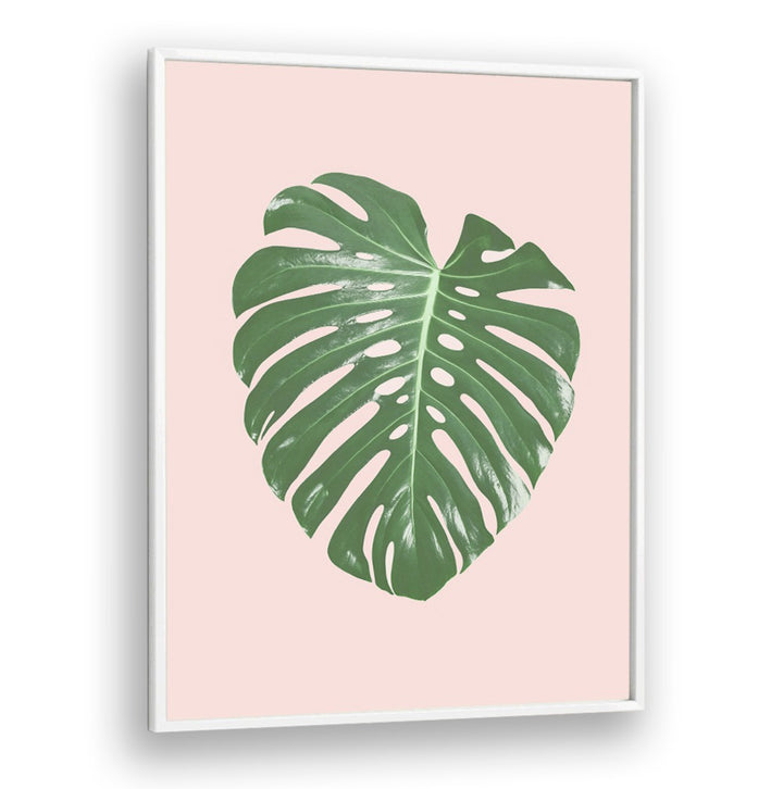 Stunning MONSTERA LEAF BLUSH floral flower painting with a tropical touch, perfect for home or office decor.