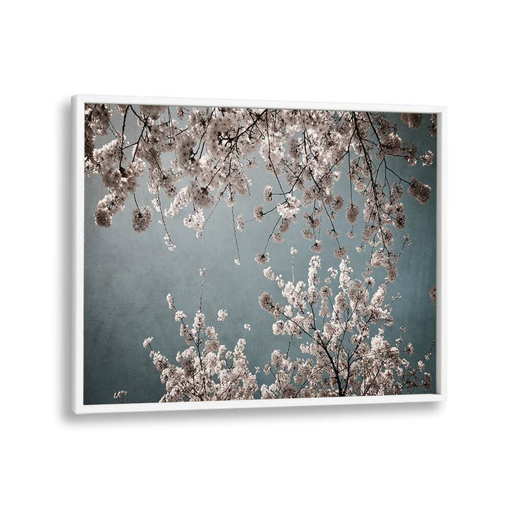 Delicate blossoms against a soft blue background in MOODY SPRING, FLORAL FLOWER PAINTINGS, capturing spring's essence.