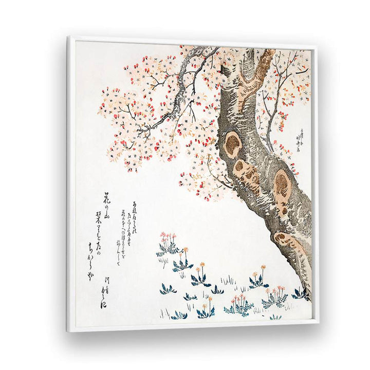 CHERRY TREE (1760–1849), VINTAGE PAINTINGS
