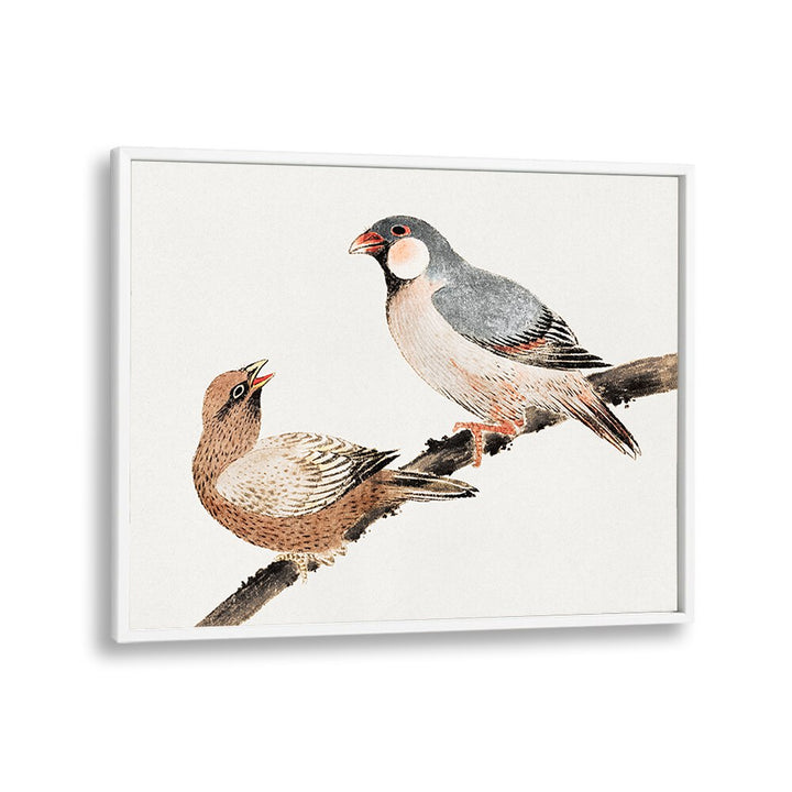 BIRDS FROM ALBUM OF SKETCHES (1814) , VINTAGE PAINTINGS