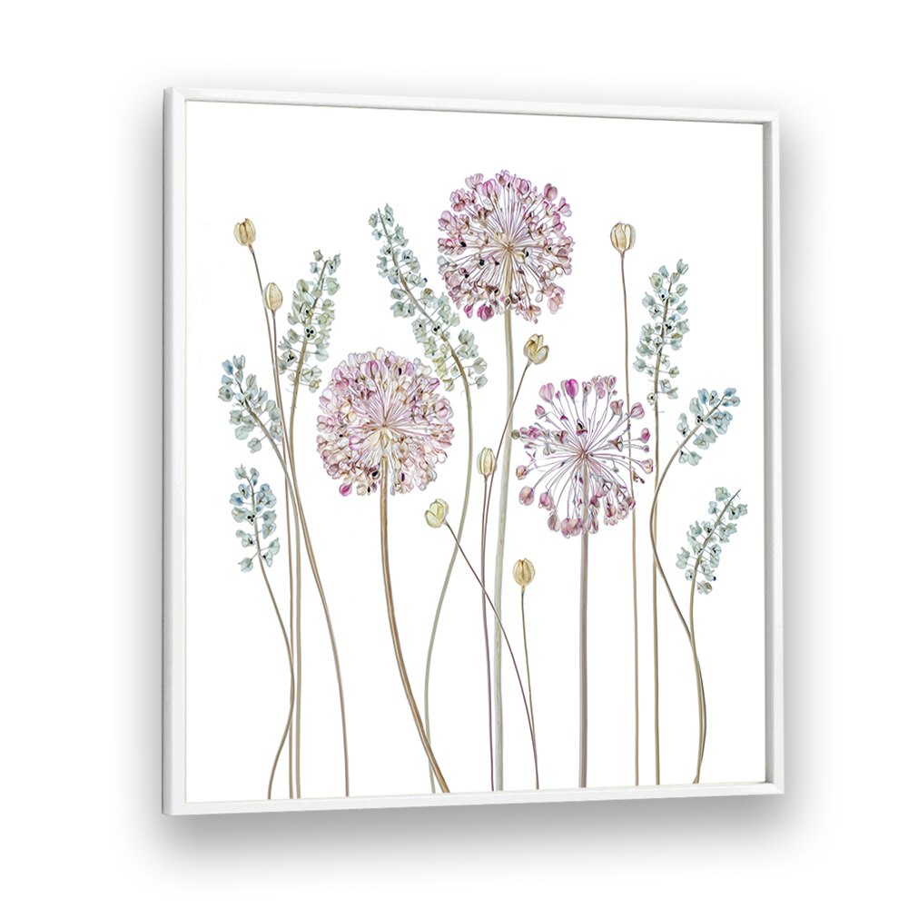 Stunning ALLIUM II, FLORAL FLOWER PAINTINGS showcase delicate blooms, perfect for elevating your home décor with elegance.