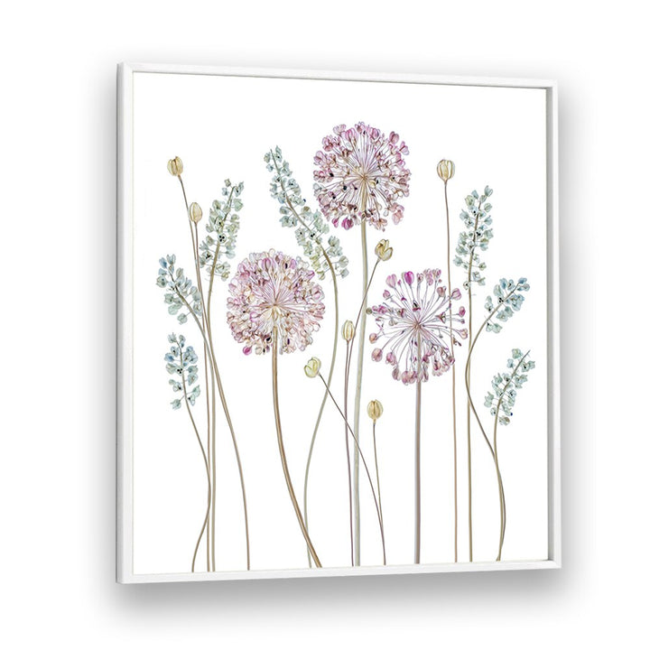 Stunning ALLIUM II, FLORAL FLOWER PAINTINGS showcase delicate blooms, perfect for elevating your home décor with elegance.
