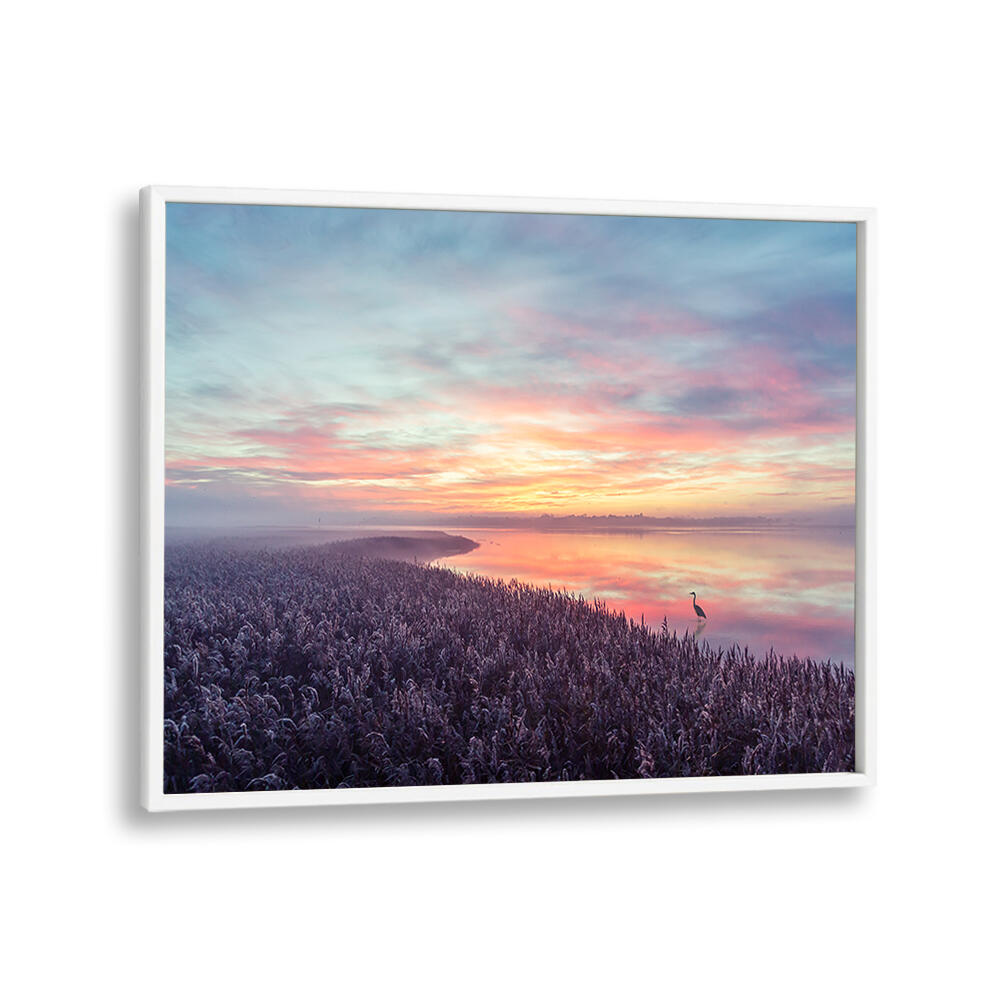 THE HERON'S MORNING VIEW , PHOTOGRAPHY PRINTS