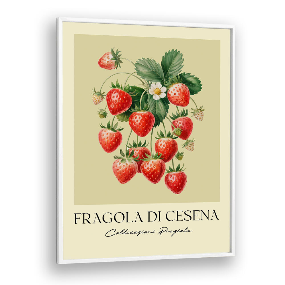 FRAGOLA DI CESENA , FLORAL FLOWER PAINTINGS