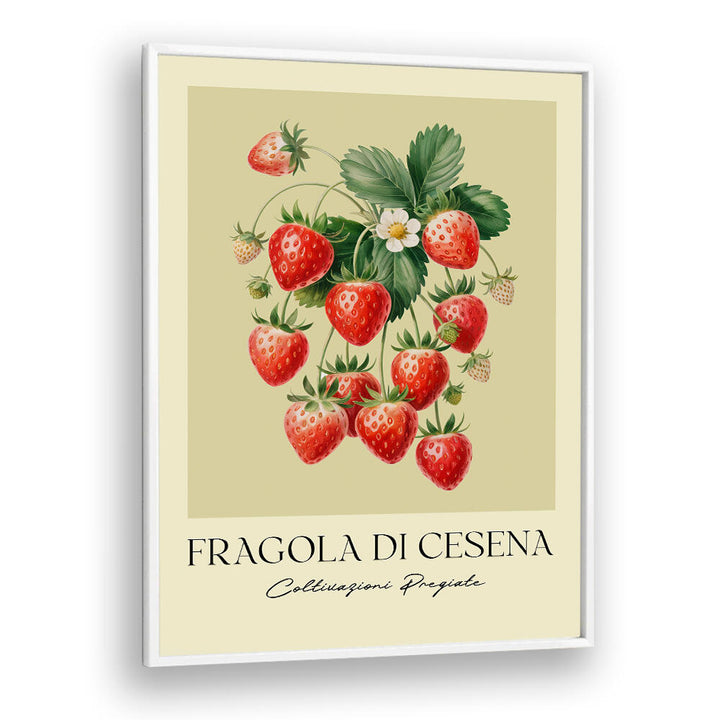 FRAGOLA DI CESENA , FLORAL FLOWER PAINTINGS