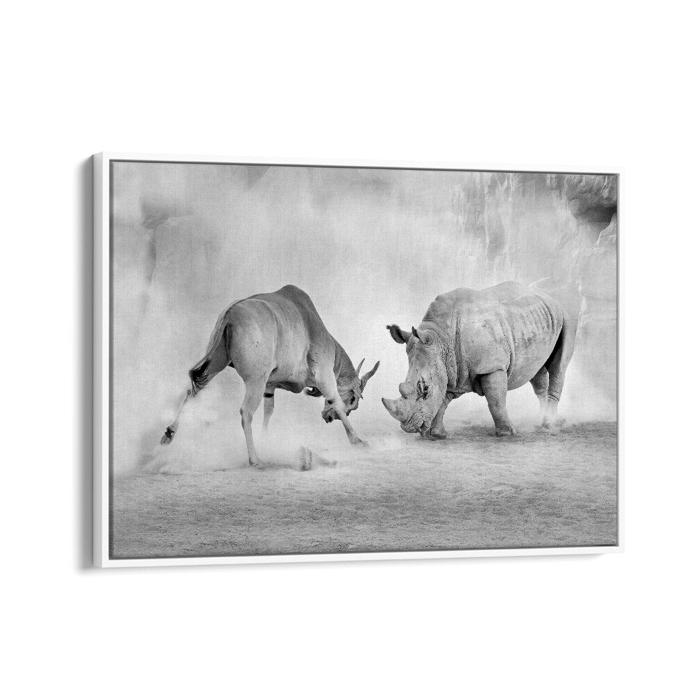 Dynamic scene of wildlife combat captured in stunning detail for COMBAT, PHOTOGRAPHY PRINTS collection.