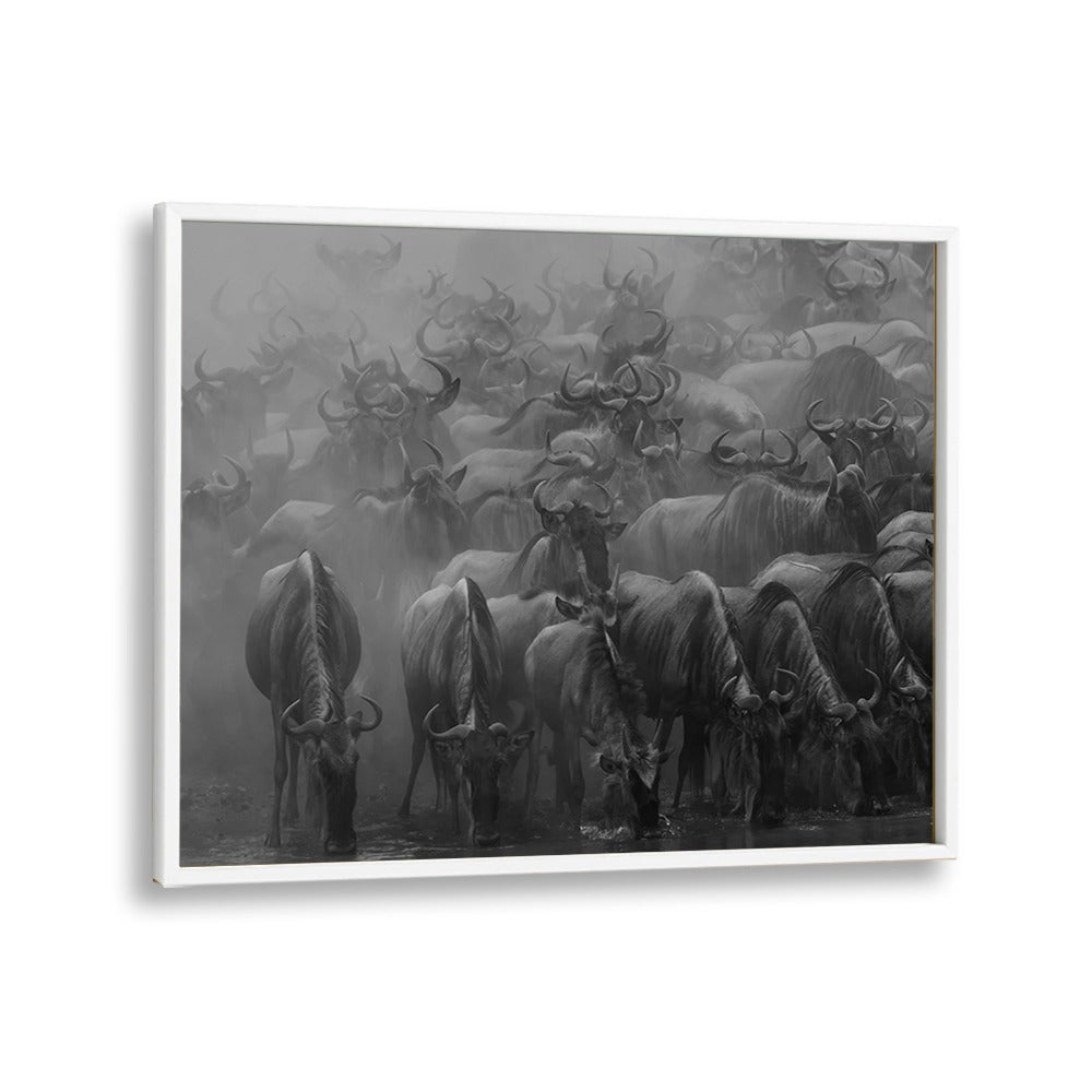 Stunning black-and-white print capturing THE GREAT MIGRATION, PHOTOGRAPHY PRINTS showcasing wildlife's majestic journey.