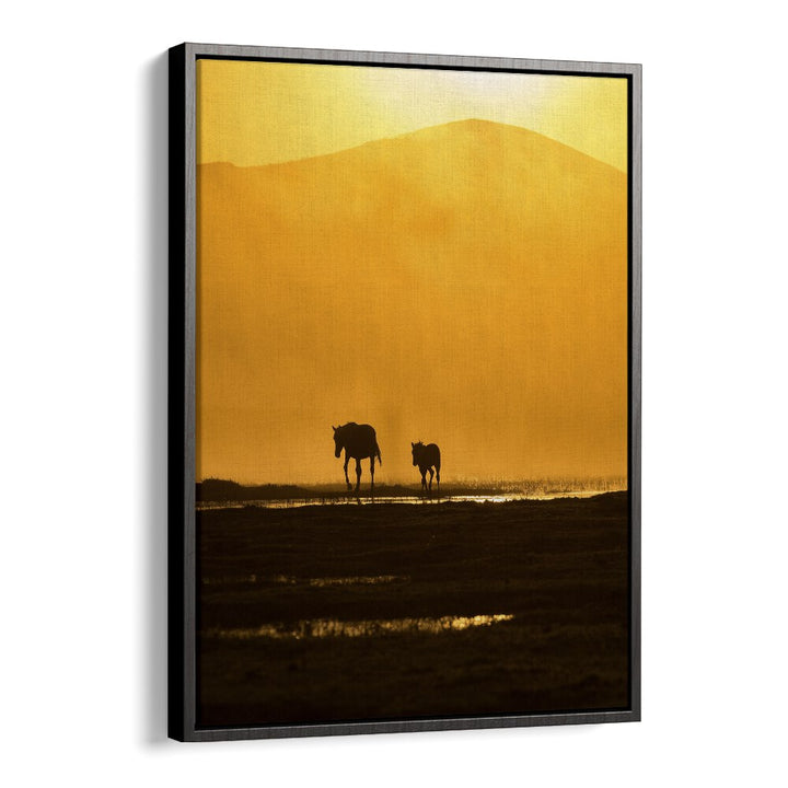 Silhouettes of a mother horse and foal against a golden sunset, featured in FOLLOWING MOMMY, PHOTOGRAPHY PRINTS.