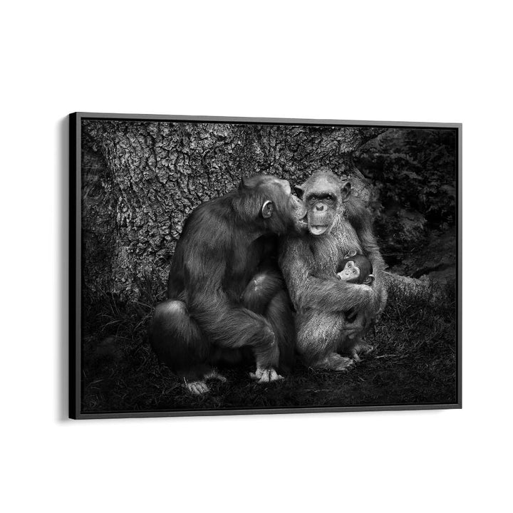 Captivating relatives in nature with THE FAMILY, PHOTOGRAPHY PRINTS, showcasing the beauty of wildlife connections.