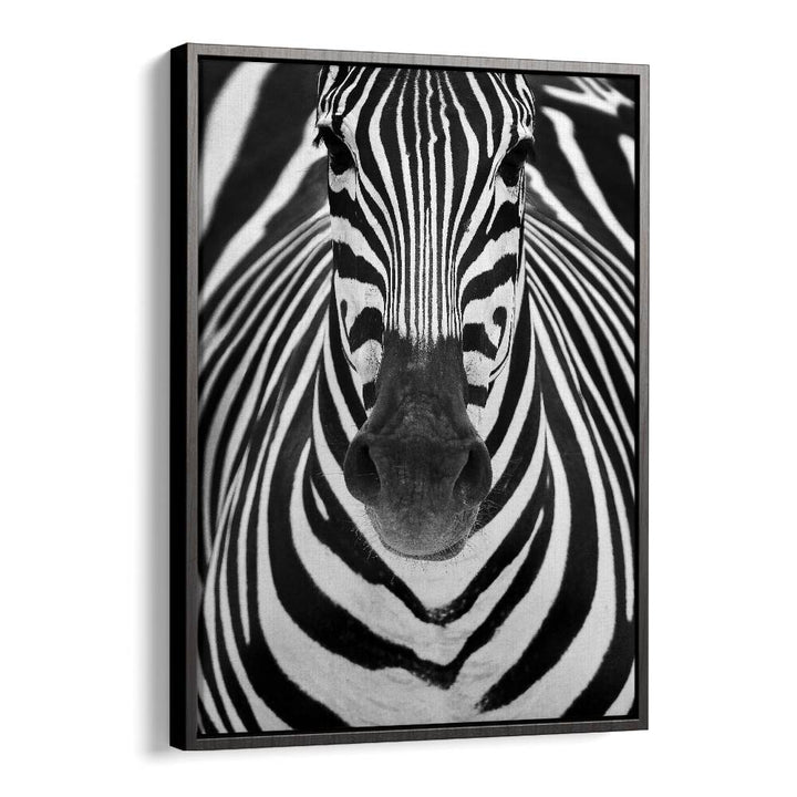 ZEBRA I, PHOTOGRAPHY PRINTS showcase a striking zebra portrait, highlighting nature's beauty in fine art.
