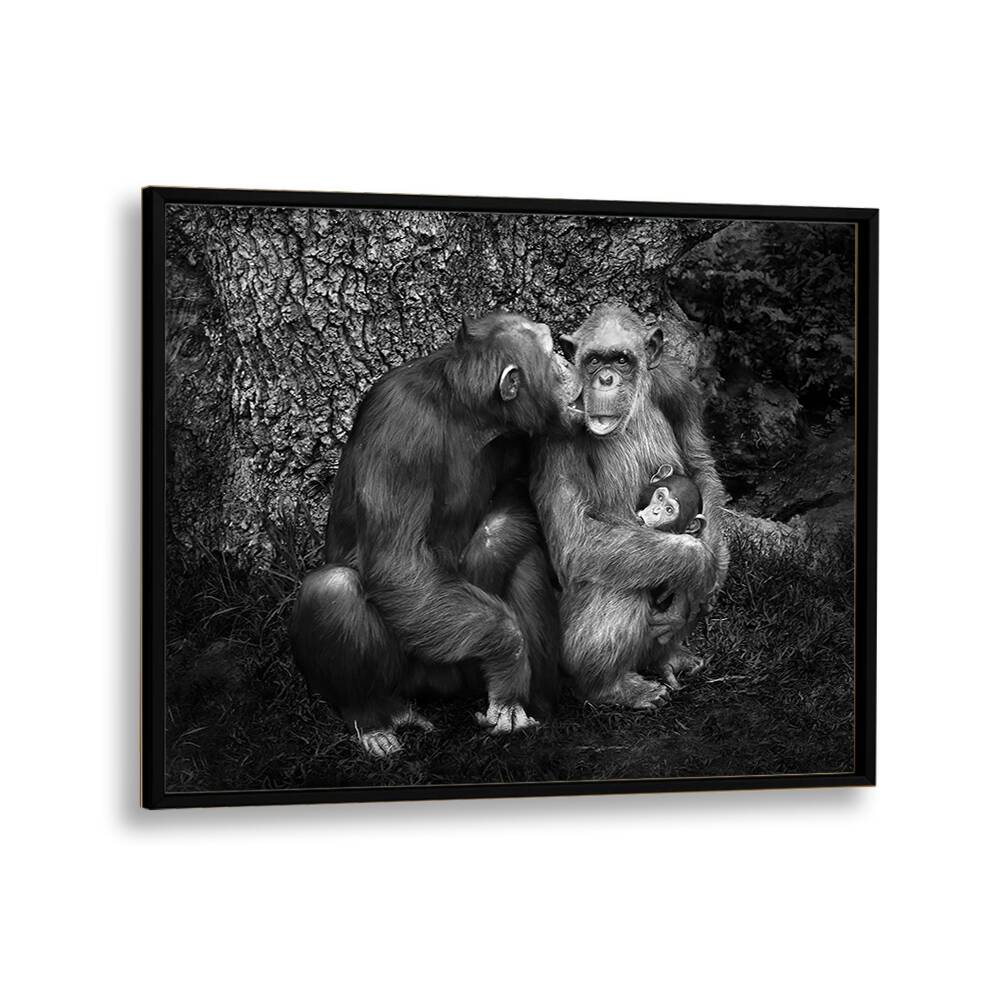 Captivating black and white print of a monkey family, part of THE FAMILY, PHOTOGRAPHY PRINTS collection.