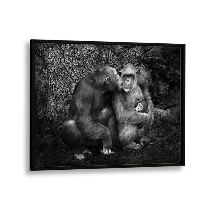 Captivating black and white print of a monkey family, part of THE FAMILY, PHOTOGRAPHY PRINTS collection.