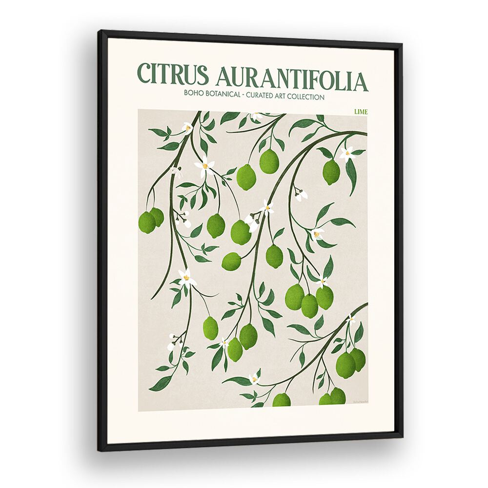 LIME, FLORAL FLOWER PAINTINGS showcase vibrant lime and floral designs by Emel Tunaboylu in a stylish black frame.